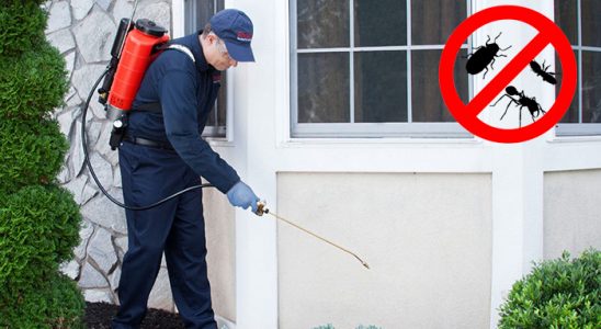 Ümraniye Dezenfeksiyon böcek ilaçlama ve haşere kontrolü — ilaclama-tr.com